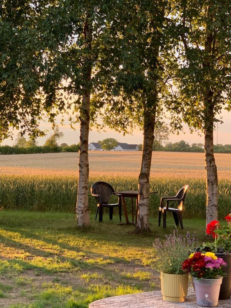 Romantik Luxus Glamping 2 Idestrup Dış mekan fotoğraf