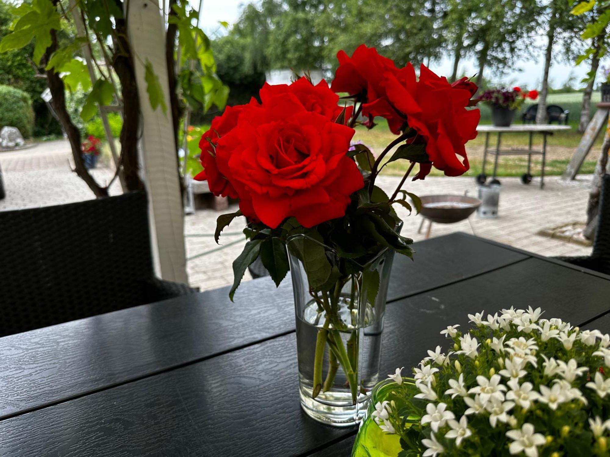 Romantik Luxus Glamping 2 Idestrup Dış mekan fotoğraf