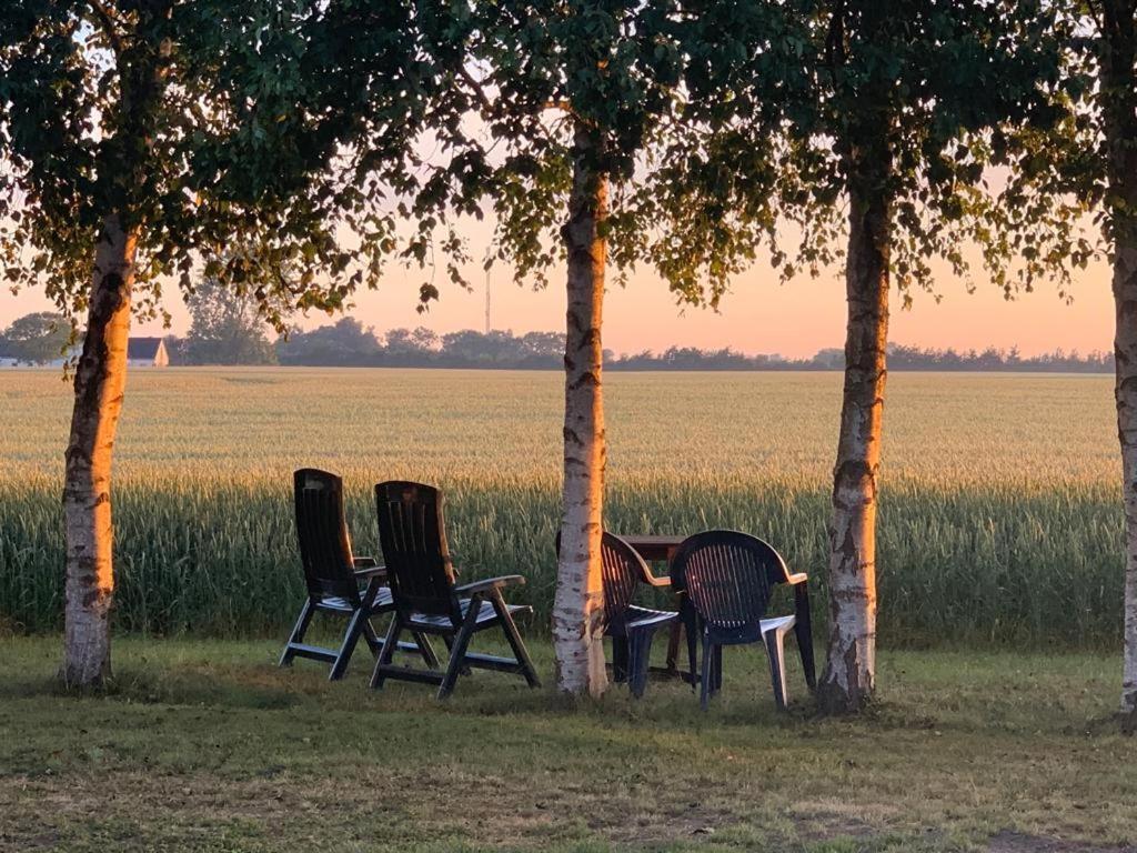 Romantik Luxus Glamping 2 Idestrup Dış mekan fotoğraf